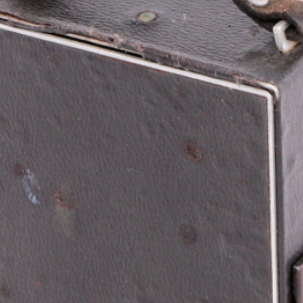 Back of the large format camera