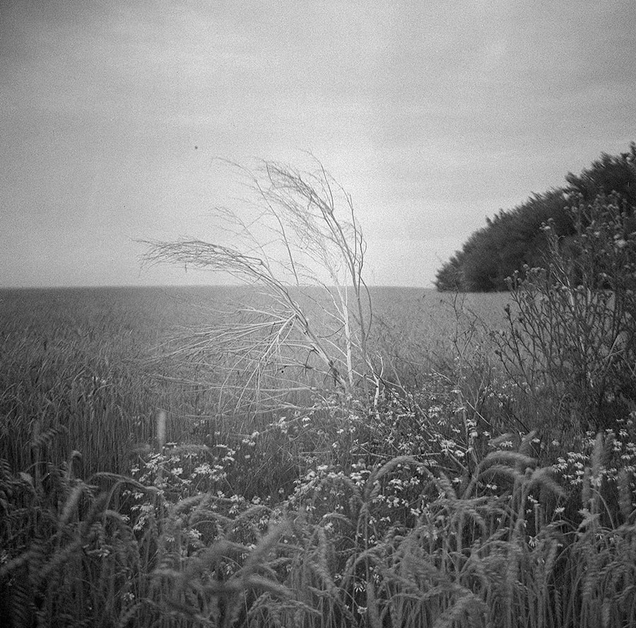 lomo komsomolets review