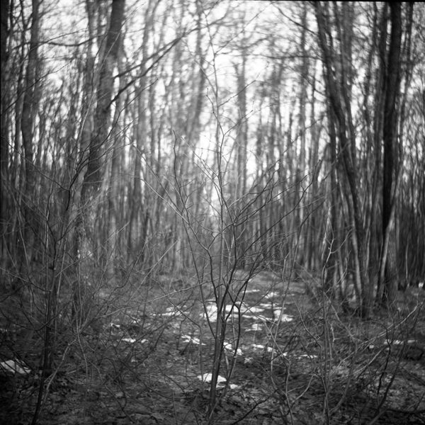 Lubitel-2 - Soviet Cameras