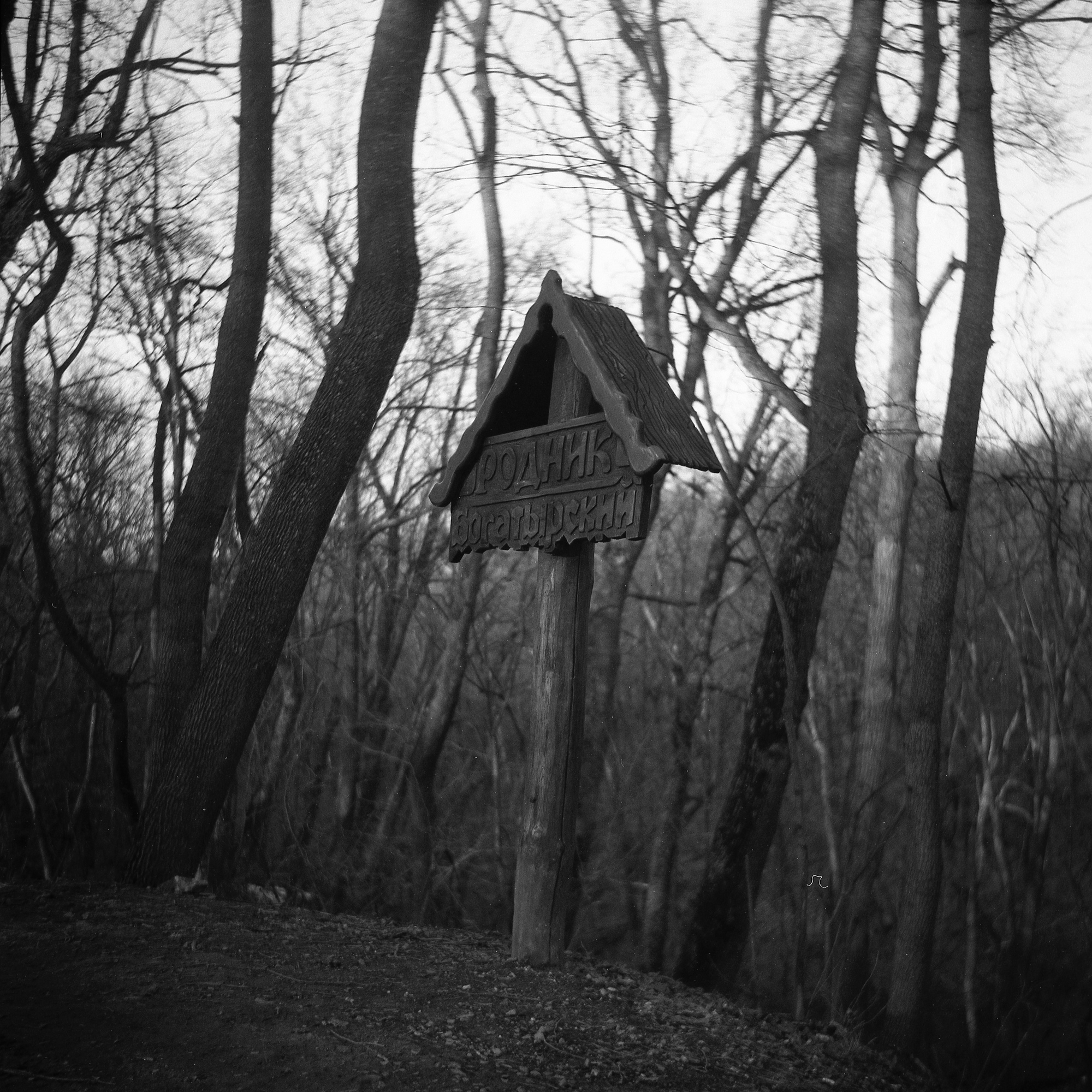 Forest trail and wooden sign captured on Lubitel camera