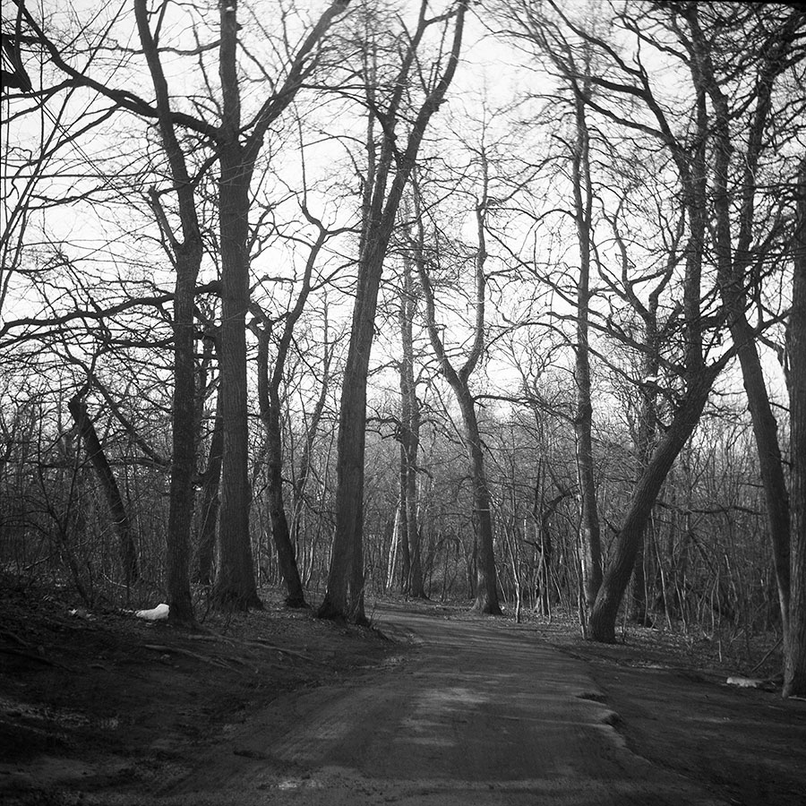 Autumn forest scene taken with a Soviet Triplet lens