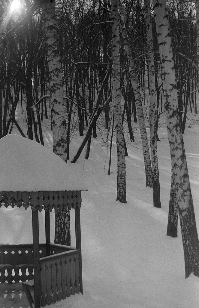 Photo of a gazebo taken with the Soviet Sport camera, winter film look