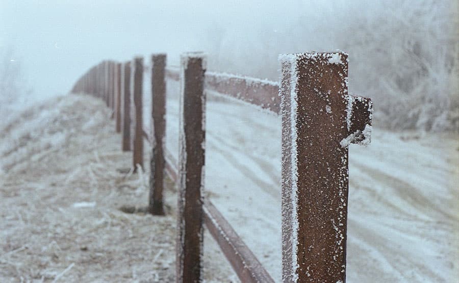 Soviet Camera Shots