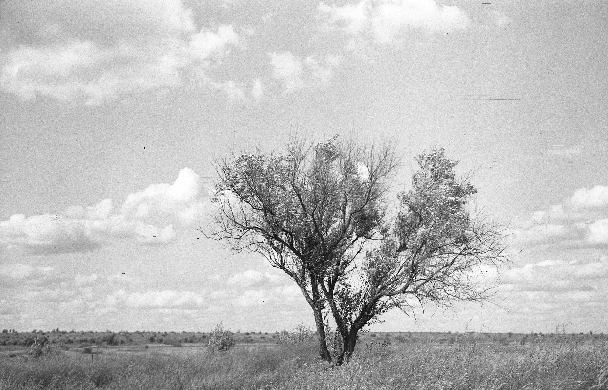 Resolution of the Industar-23 lens at f/8