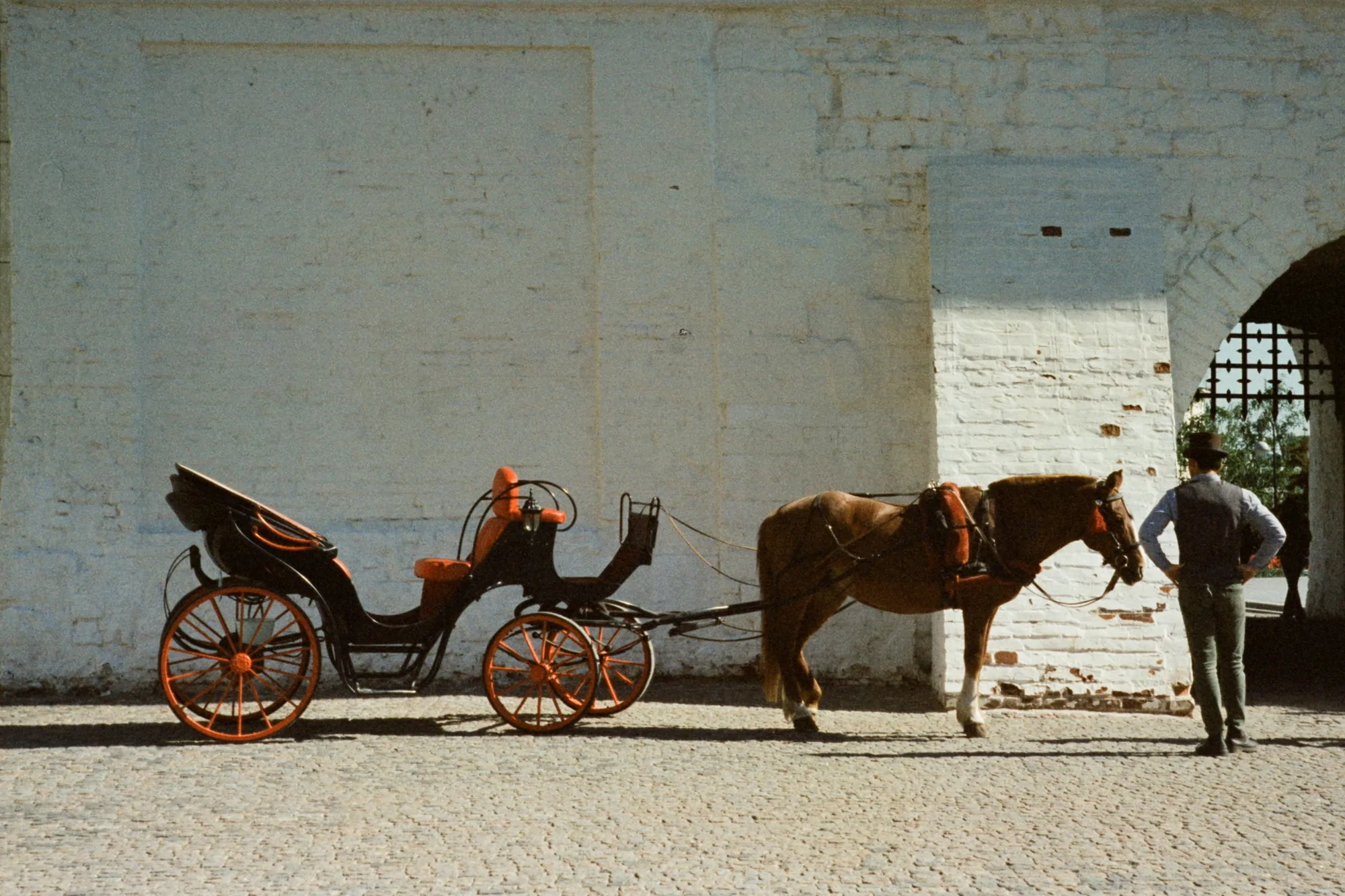 Photo of a horse-drawn carriage shot on a kiev 3 camera
