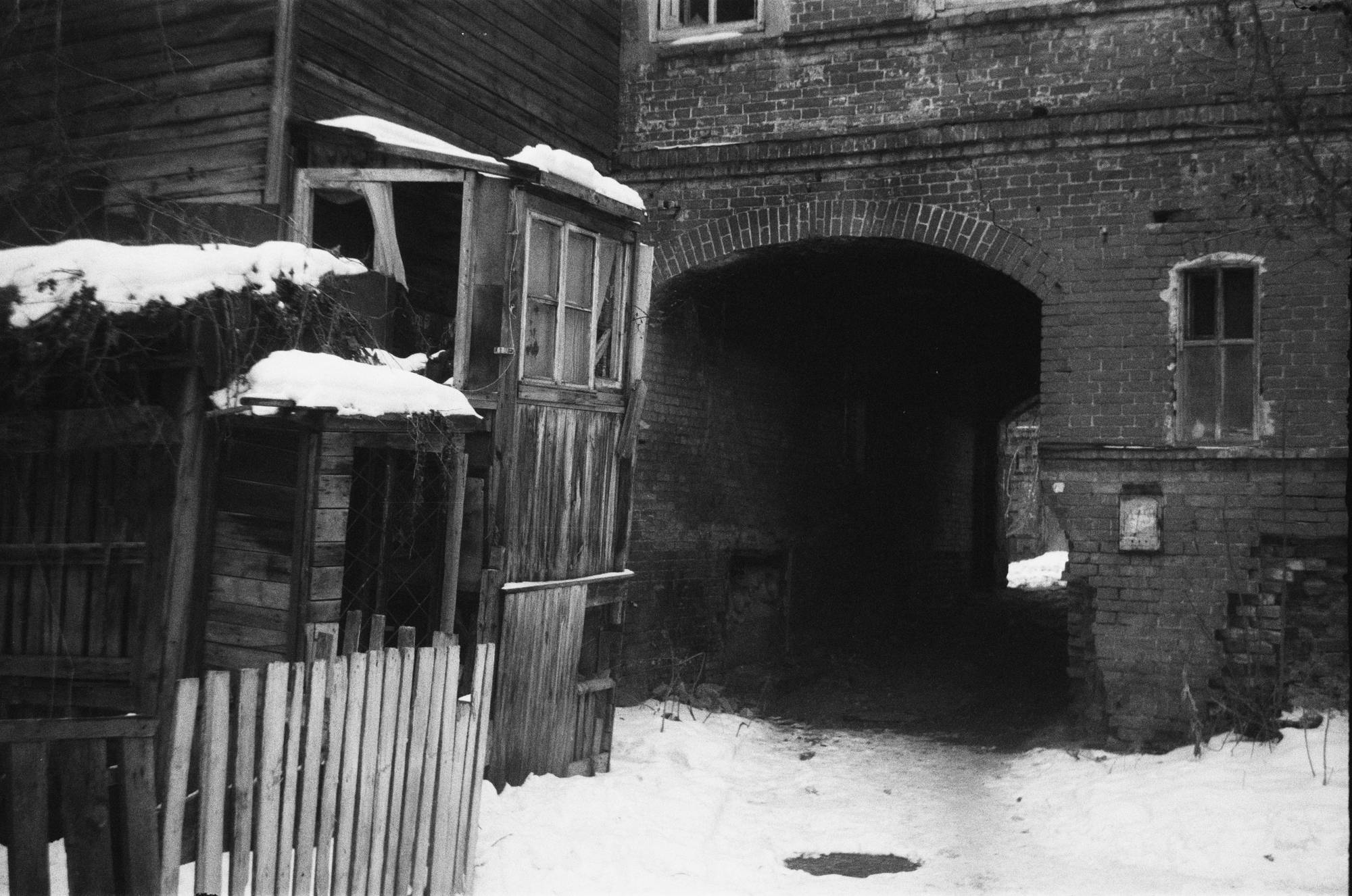 Old yard shot on a film camera